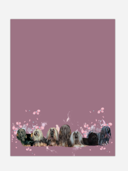 Lhasa Apso Frühlingspaket